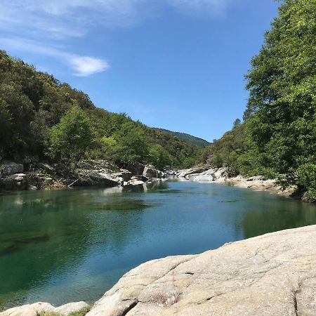 Chambre D'Hote Lavande - Le Soleil Des Cevennes แซ็ง-ฌอง-ดู-การ์ ภายนอก รูปภาพ