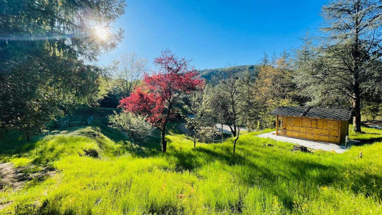 Chambre D'Hote Lavande - Le Soleil Des Cevennes แซ็ง-ฌอง-ดู-การ์ ภายนอก รูปภาพ