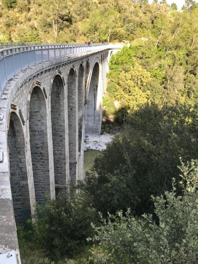 Chambre D'Hote Lavande - Le Soleil Des Cevennes แซ็ง-ฌอง-ดู-การ์ ภายนอก รูปภาพ