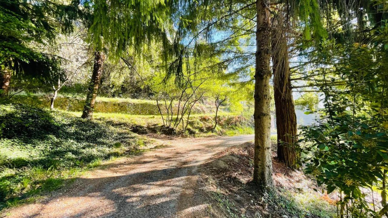 Chambre D'Hote Lavande - Le Soleil Des Cevennes แซ็ง-ฌอง-ดู-การ์ ภายนอก รูปภาพ
