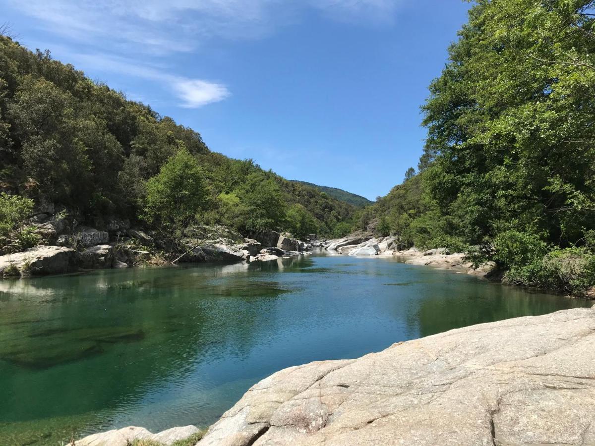 Chambre D'Hote Lavande - Le Soleil Des Cevennes แซ็ง-ฌอง-ดู-การ์ ภายนอก รูปภาพ