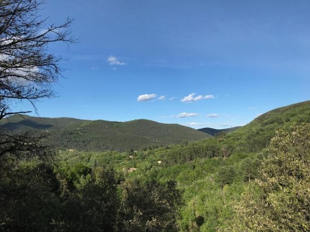 Chambre D'Hote Lavande - Le Soleil Des Cevennes แซ็ง-ฌอง-ดู-การ์ ภายนอก รูปภาพ
