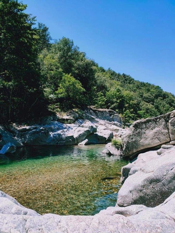 Chambre D'Hote Lavande - Le Soleil Des Cevennes แซ็ง-ฌอง-ดู-การ์ ภายนอก รูปภาพ